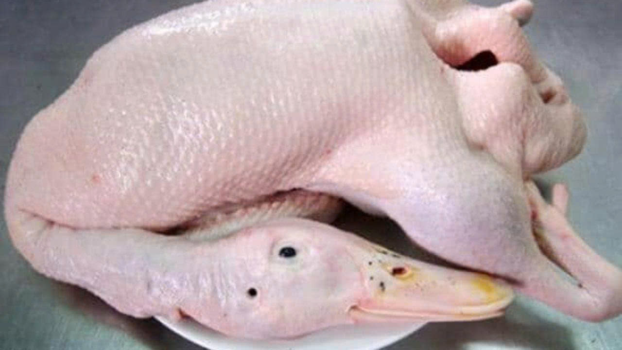 Product Info Image 11