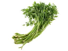 Product Info Image 27