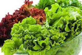 Product Info Image 28