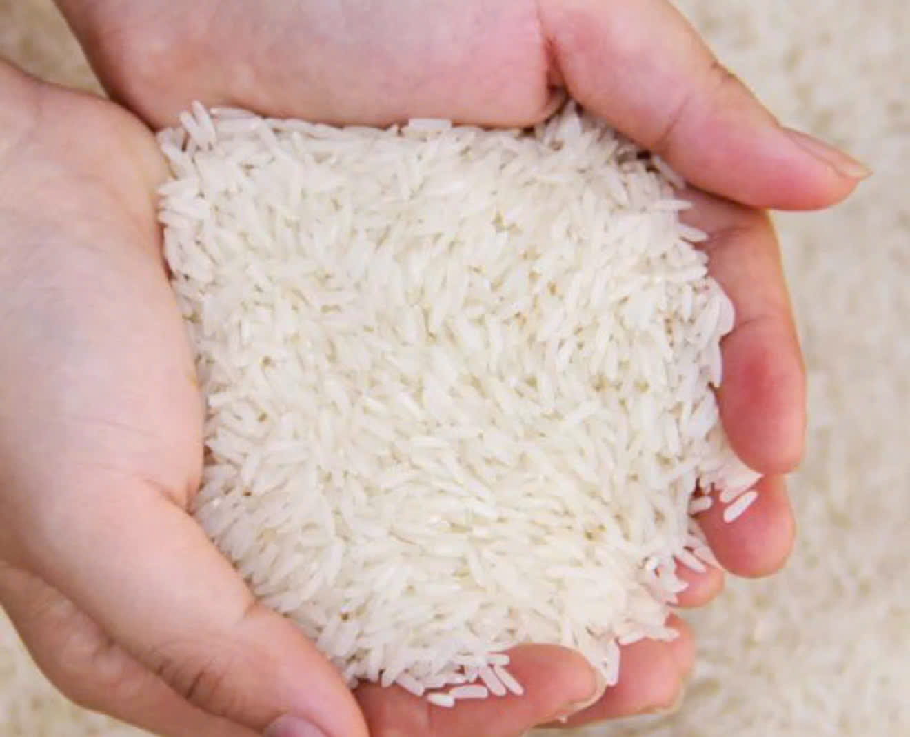 Product Info Image 1