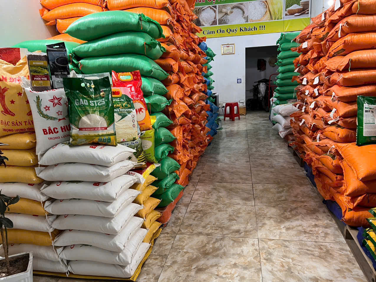 Product Info Image 5