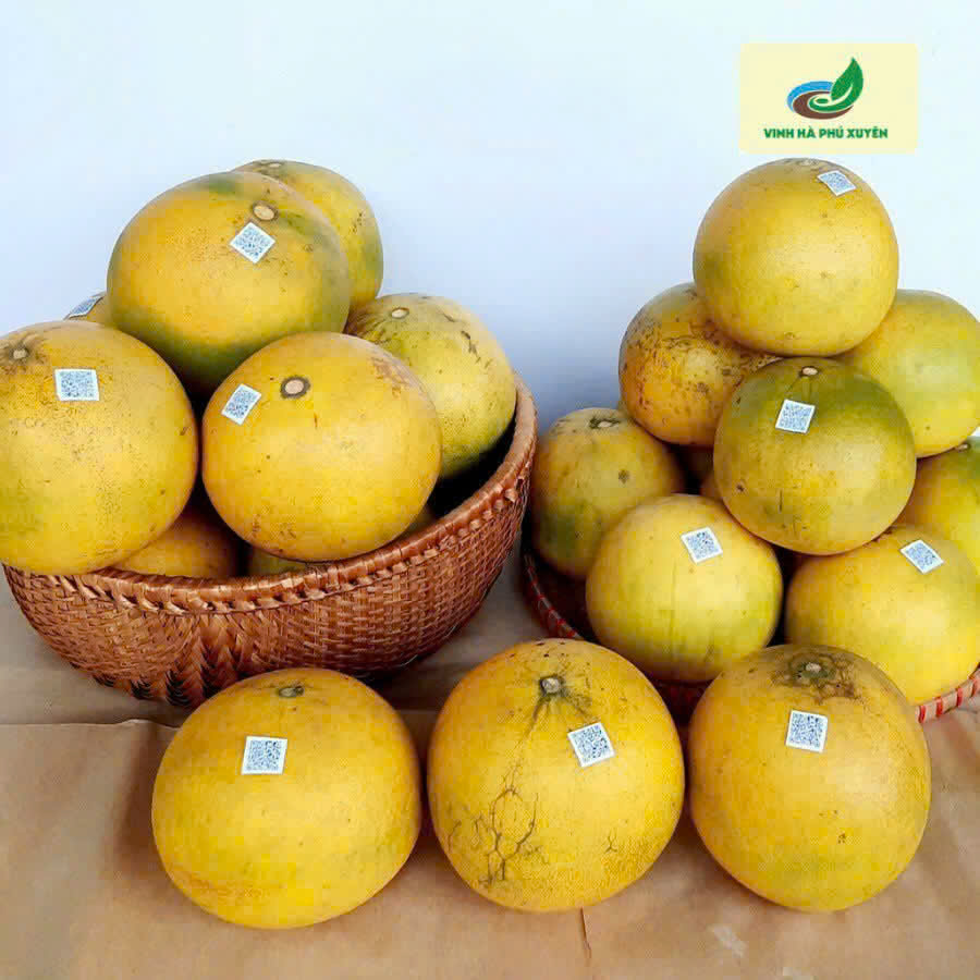 Product Info Image 1