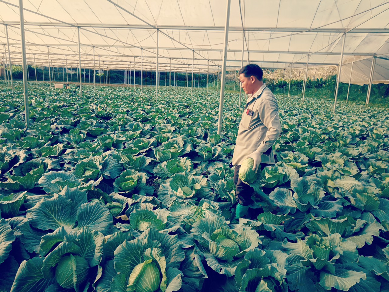 Product Info Image 6