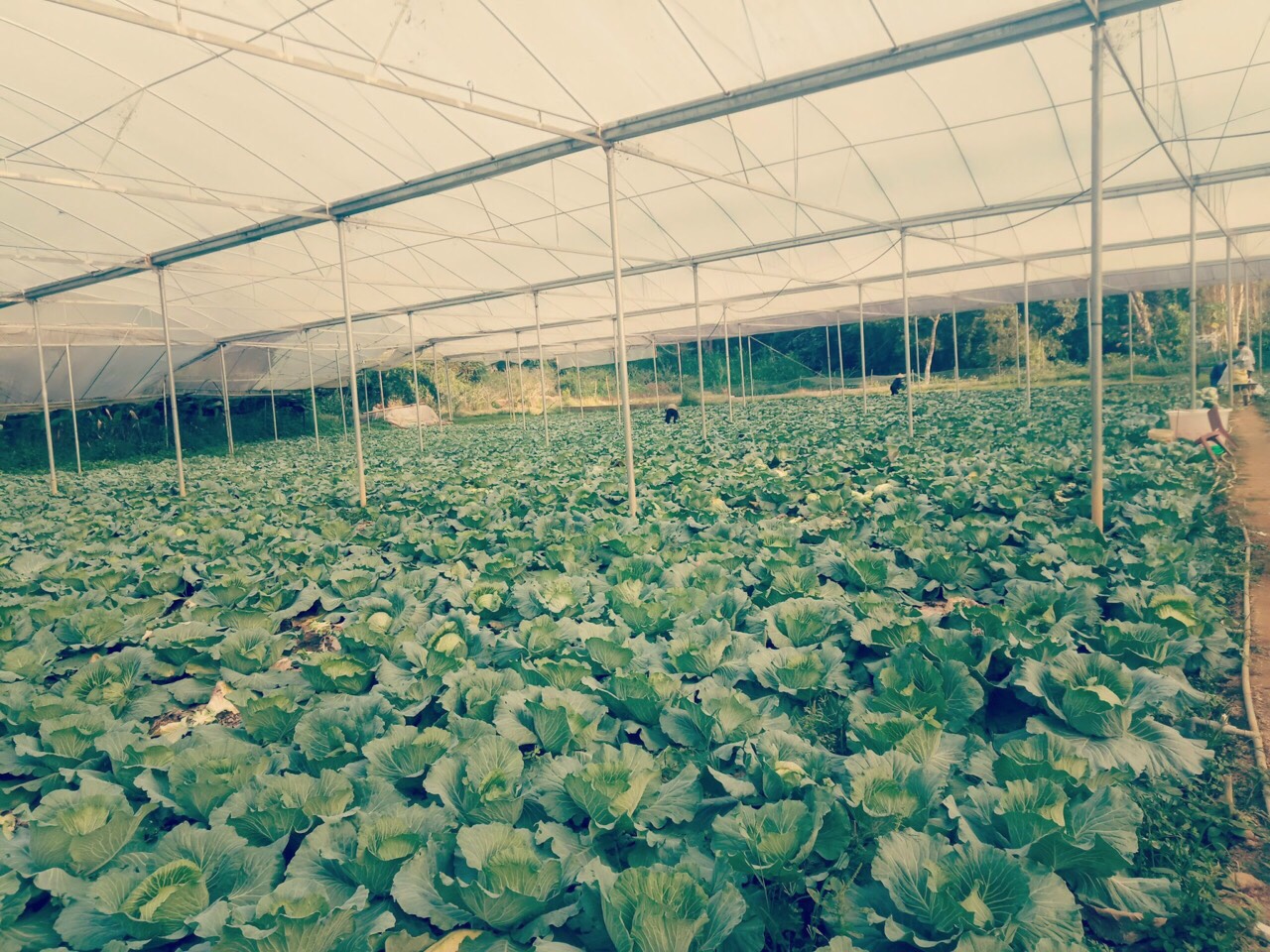 Product Info Image 9