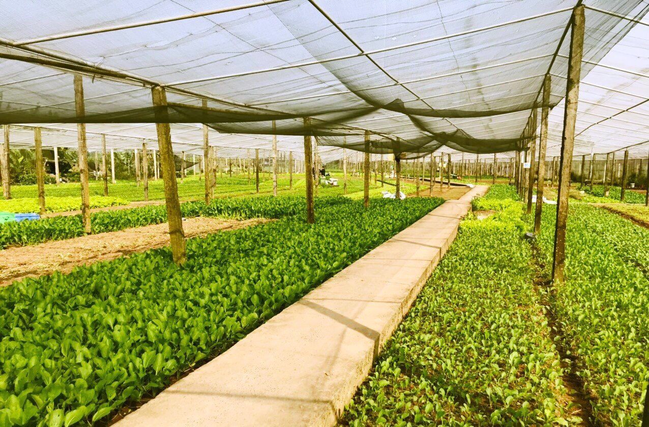 Product Info Image 8