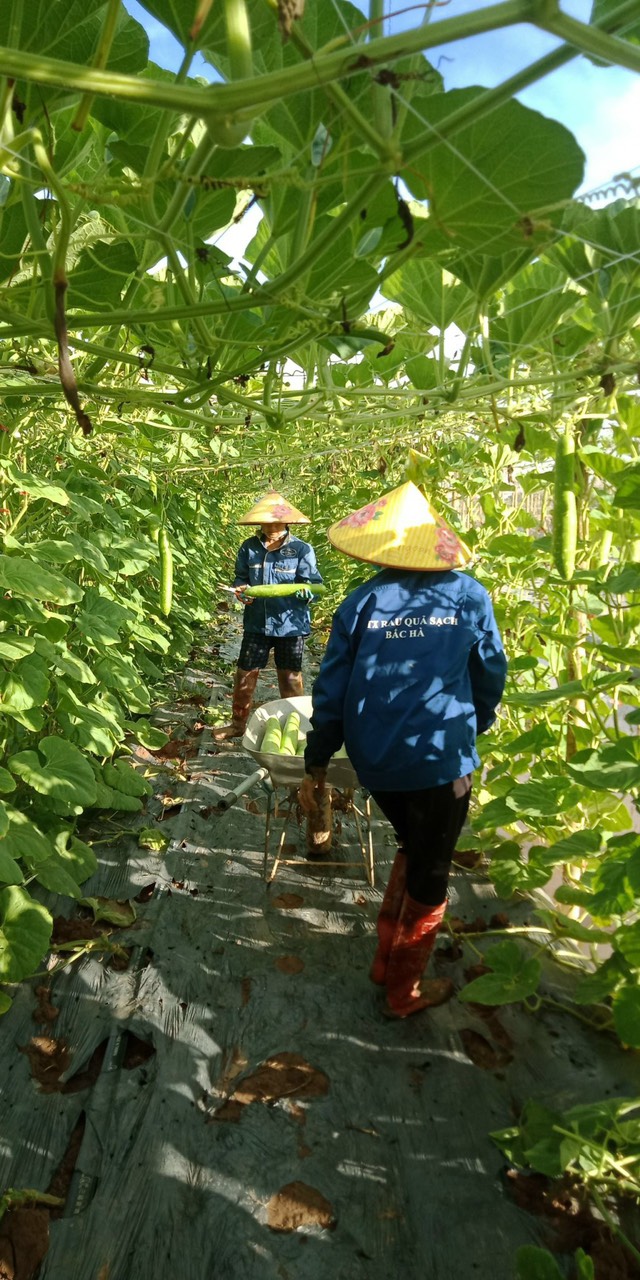 Product Info Image 4