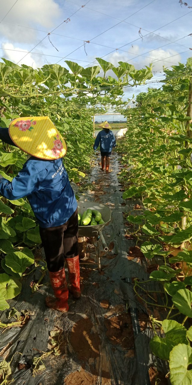 Product Info Image 1