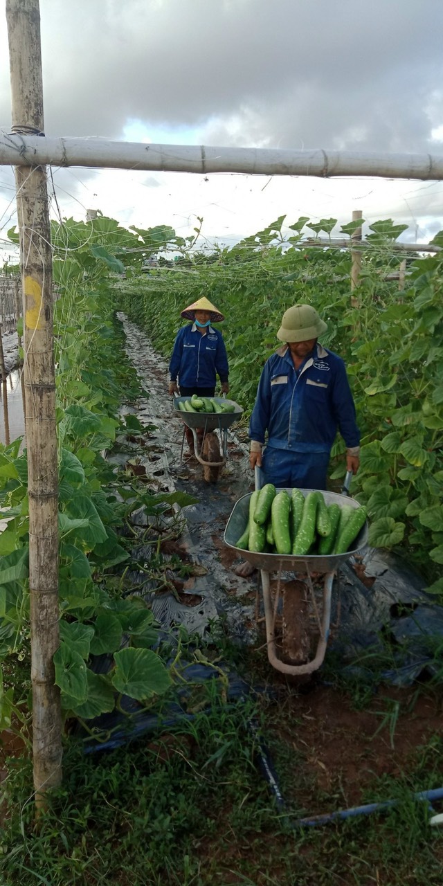 Product Info Image 3