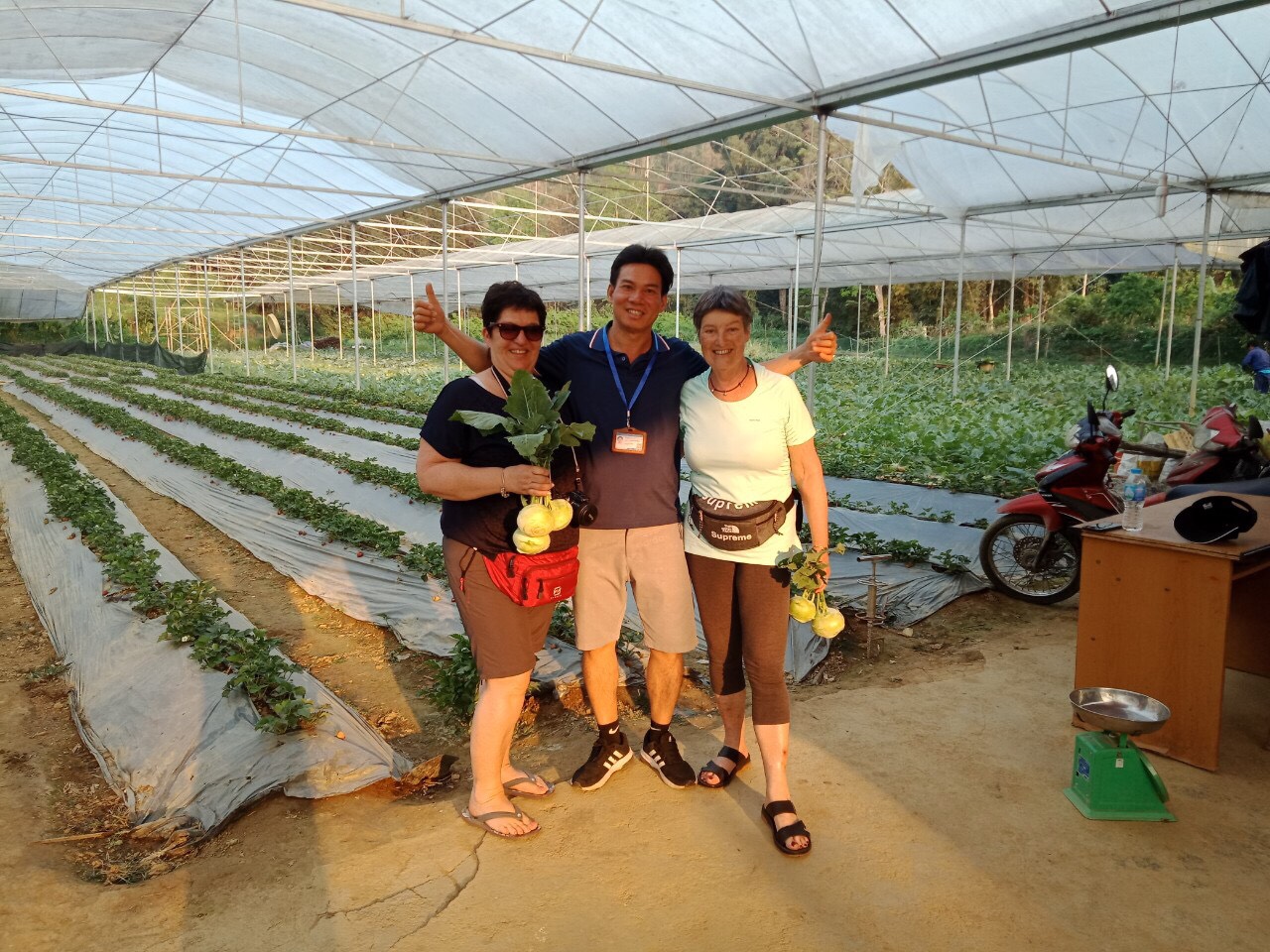 Product Info Image 18