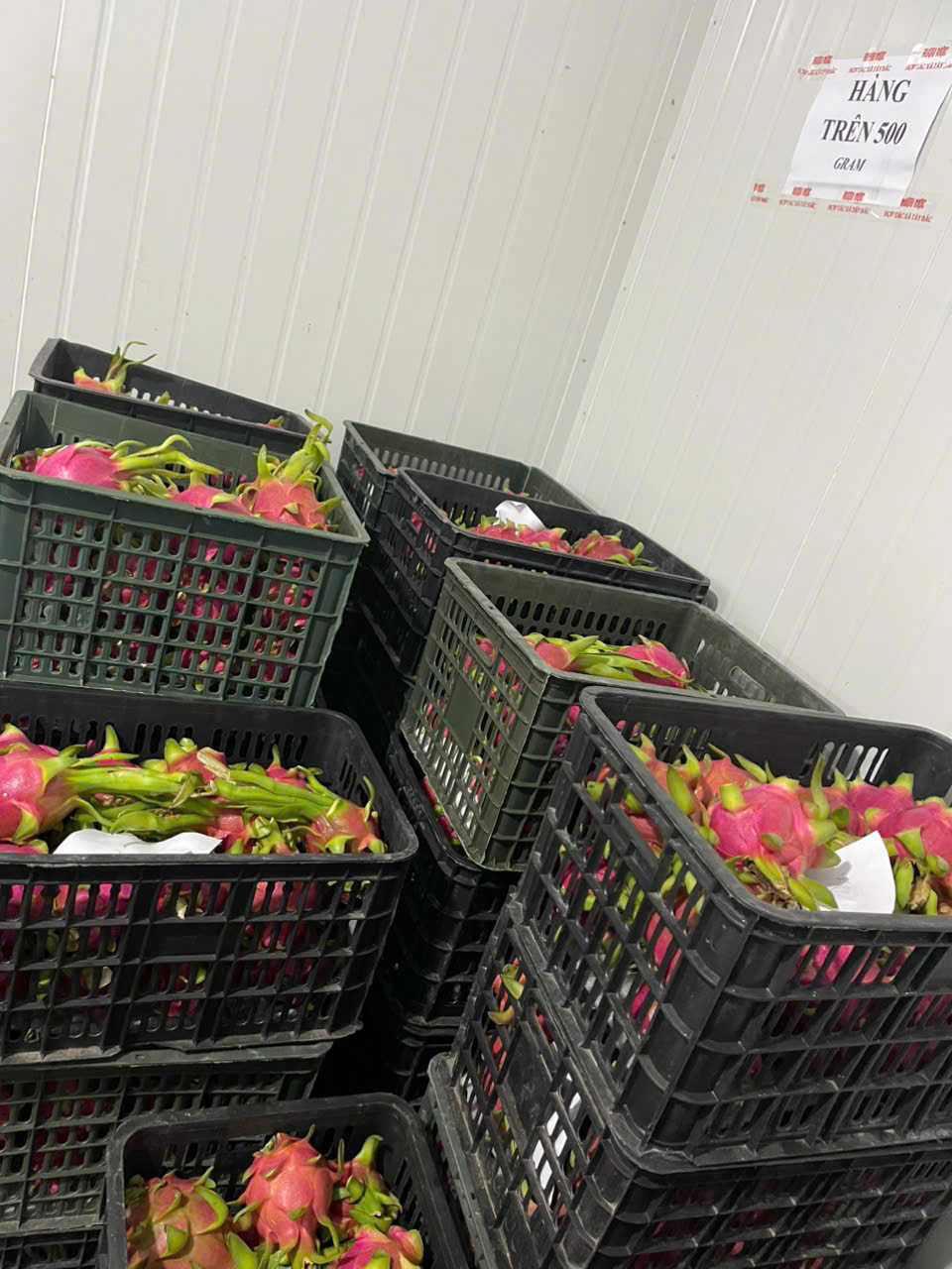 Product Info Image 23