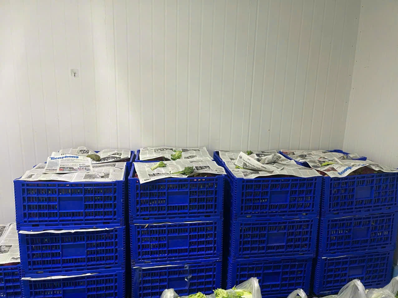 Product Info Image 24