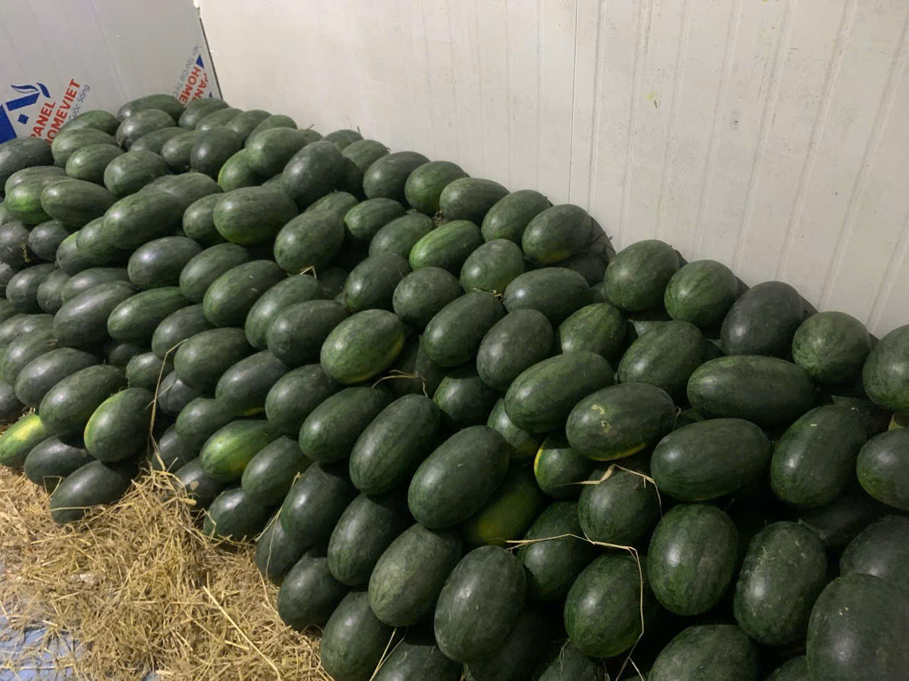 Product Info Image 26