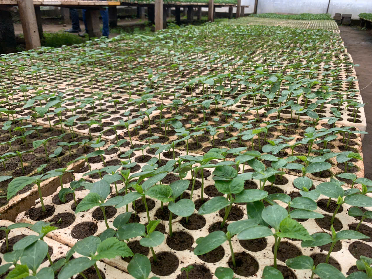 Product Info Image 27