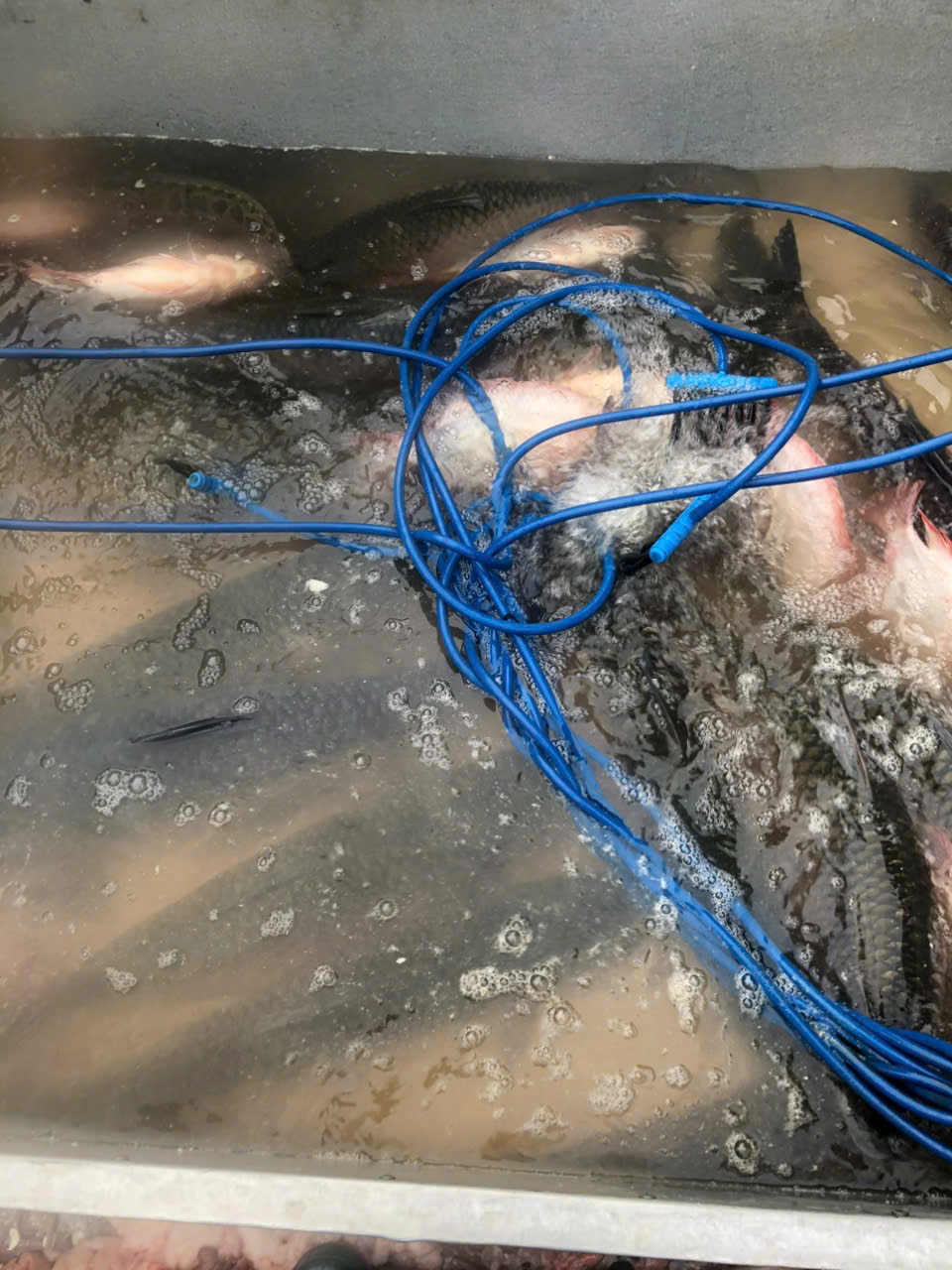 Product Info Image 1