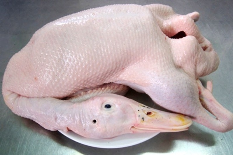 Product Info Image 1