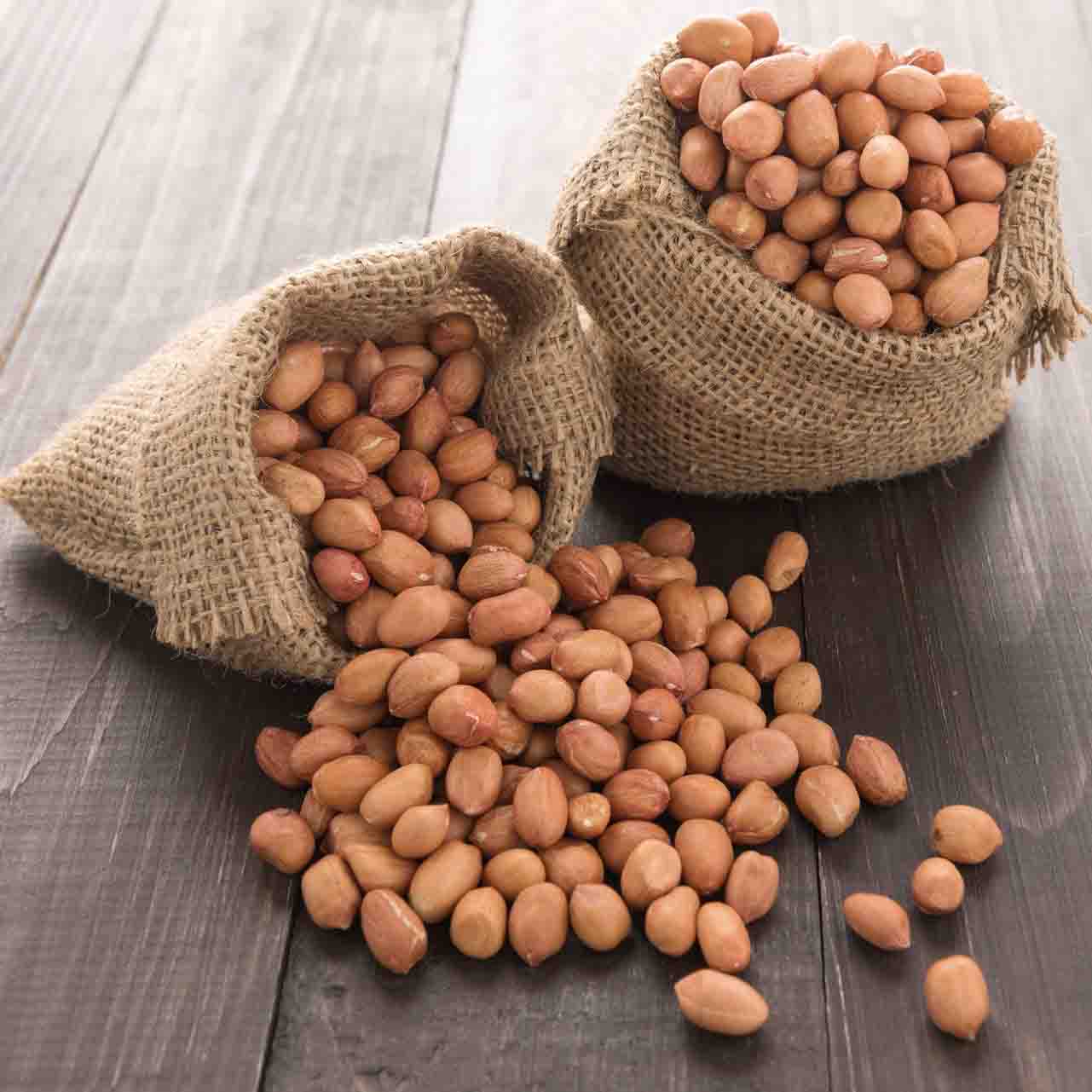 Product Info Image 6