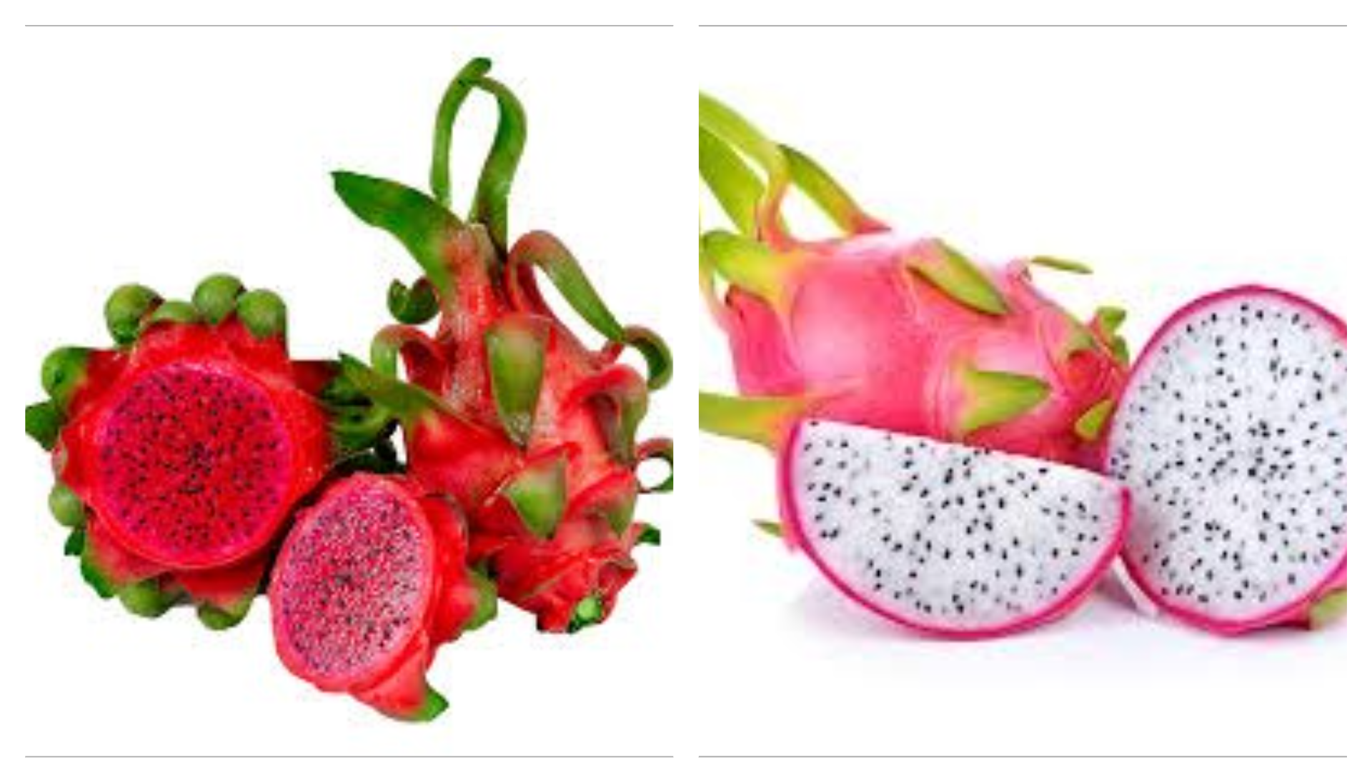 Product Info Image 1