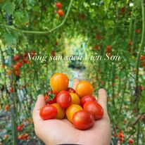 Product Info Image 14