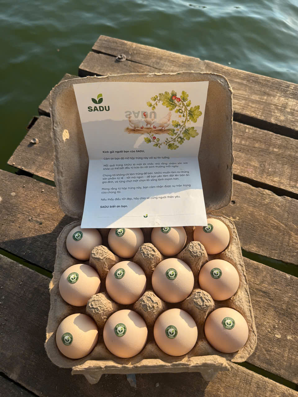 Product Info Image 3
