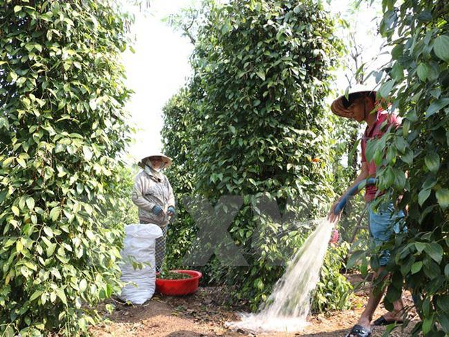 Product Info Image 4