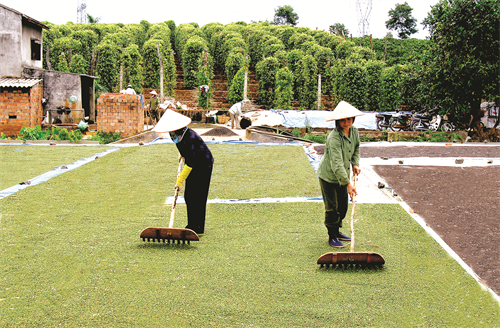 Product Info Image 2