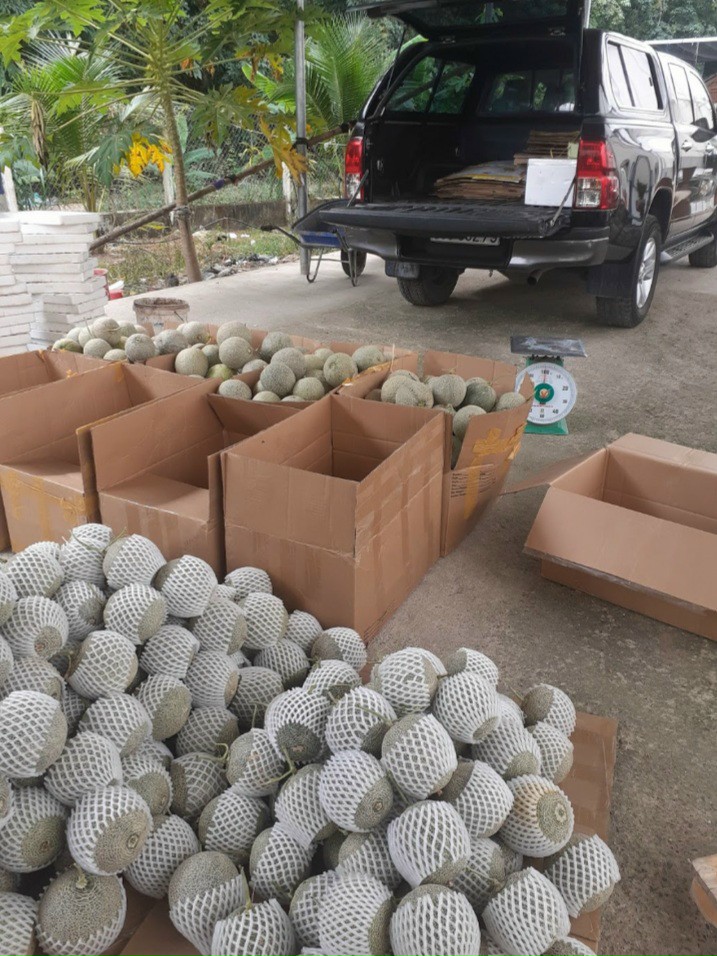 Product Info Image 6