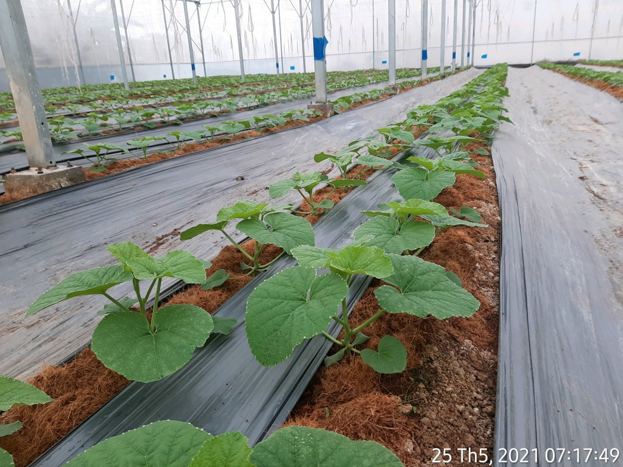 Product Info Image 7