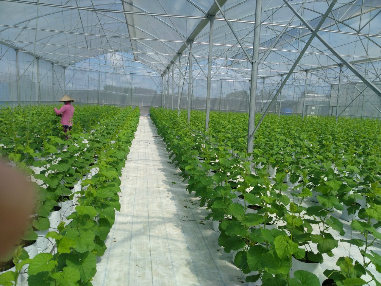 Product Info Image 8