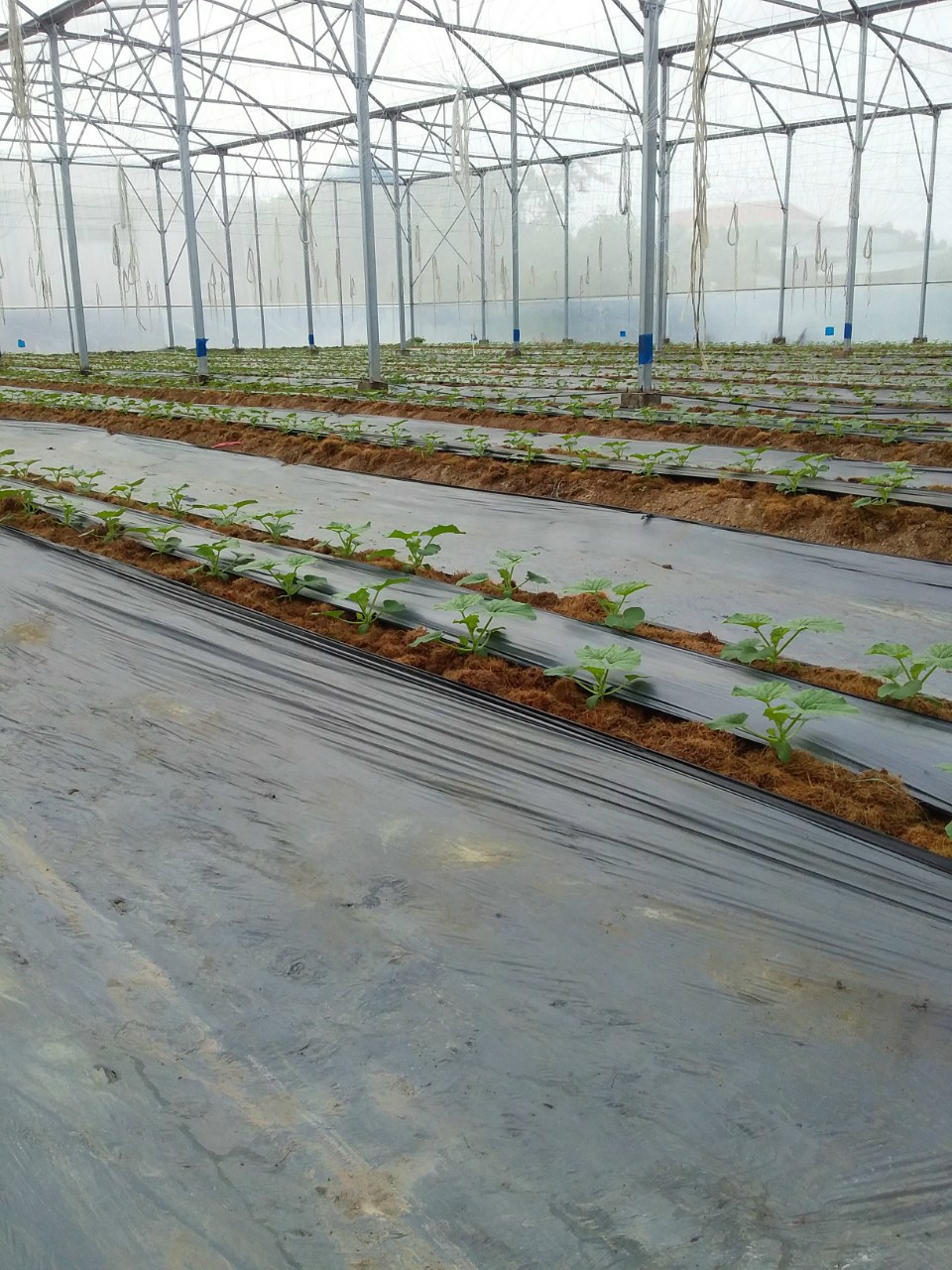 Product Info Image 3