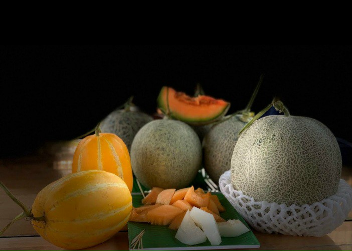 Product Info Image 12