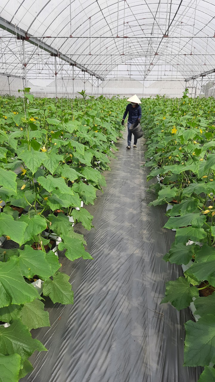 Product Info Image 3