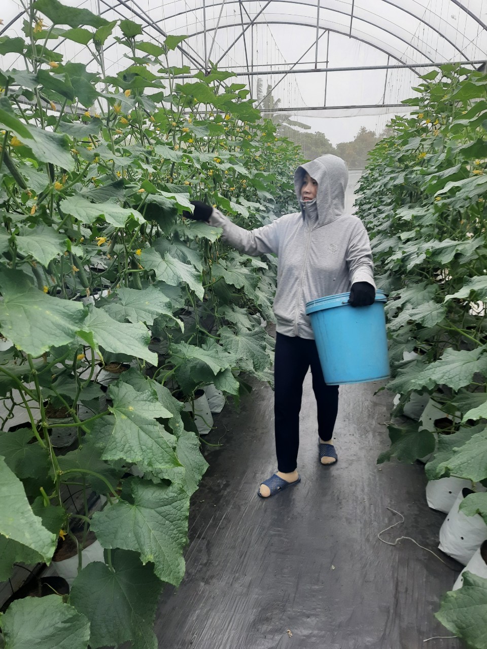 Product Info Image 4