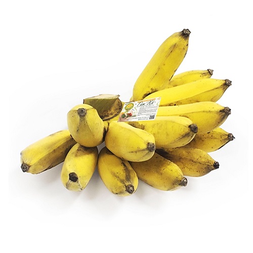 Product Info Image 2