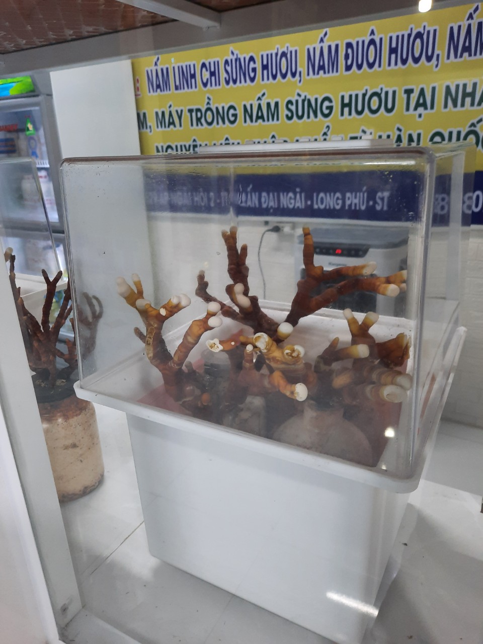 Product Info Image 5