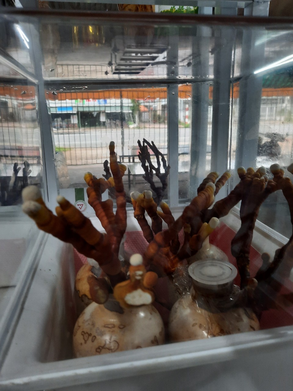 Product Info Image 2