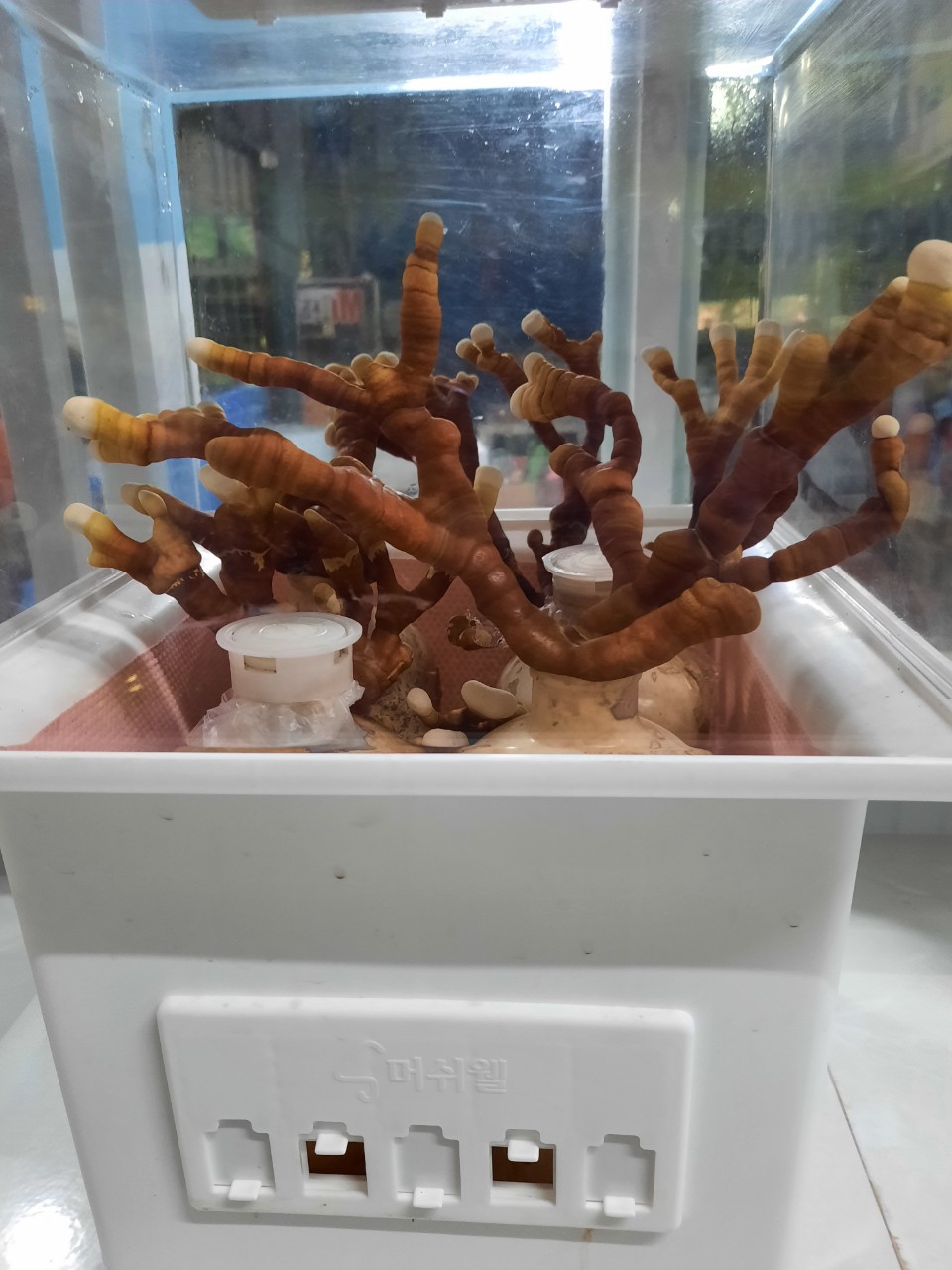 Product Info Image 6