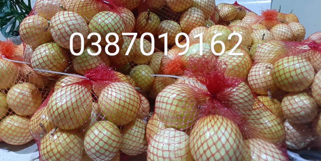 Product Info Image 10