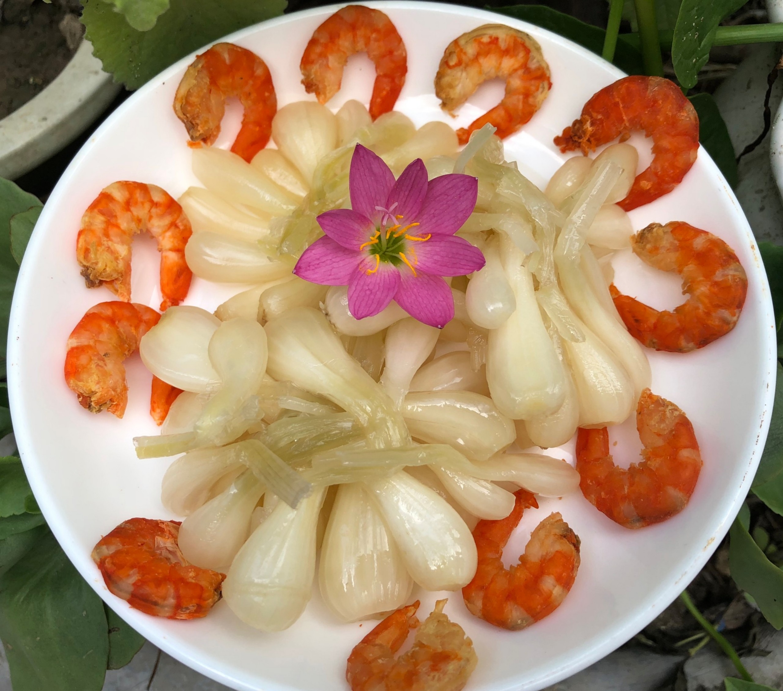 Product Info Image 3