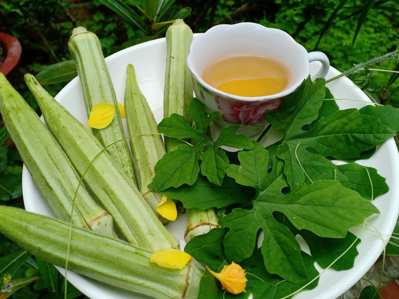 Product Info Image 2