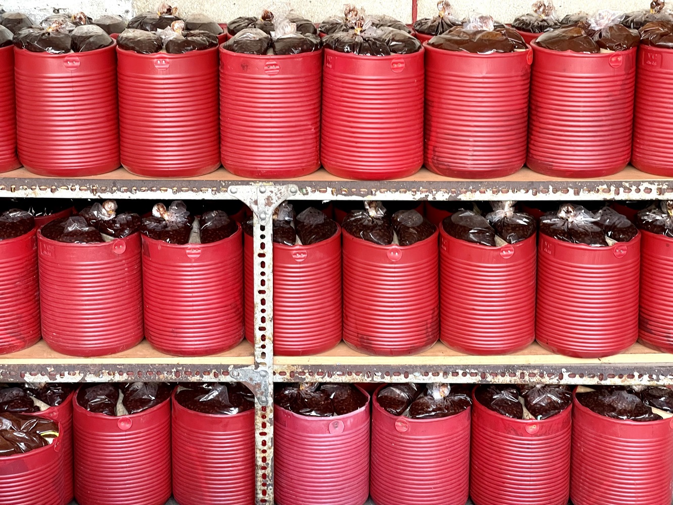 Product Info Image 3