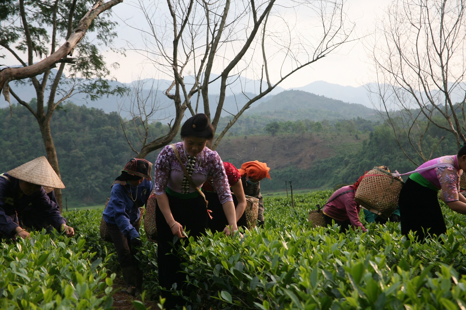 Product Info Image 1