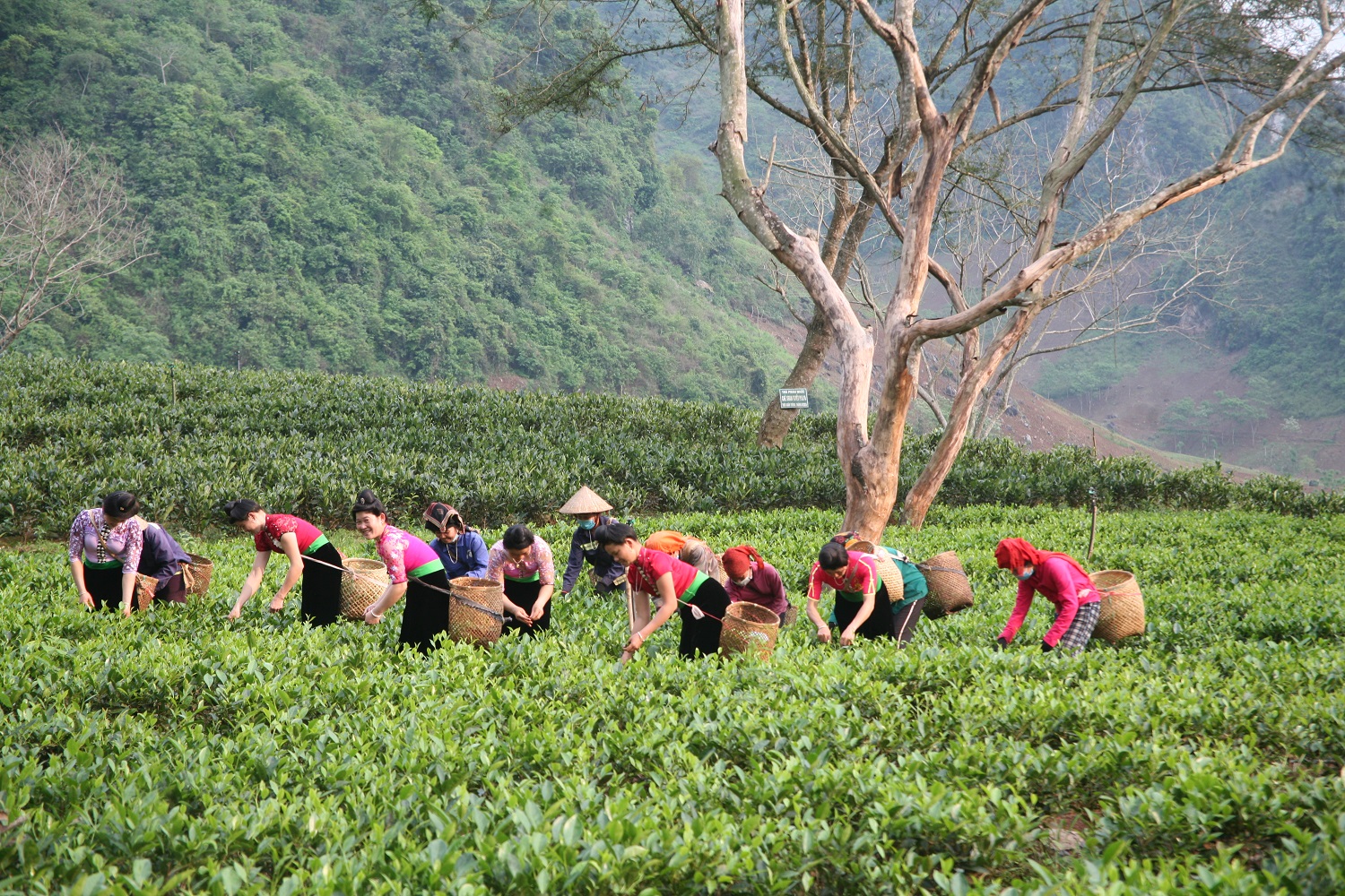 Product Info Image 9