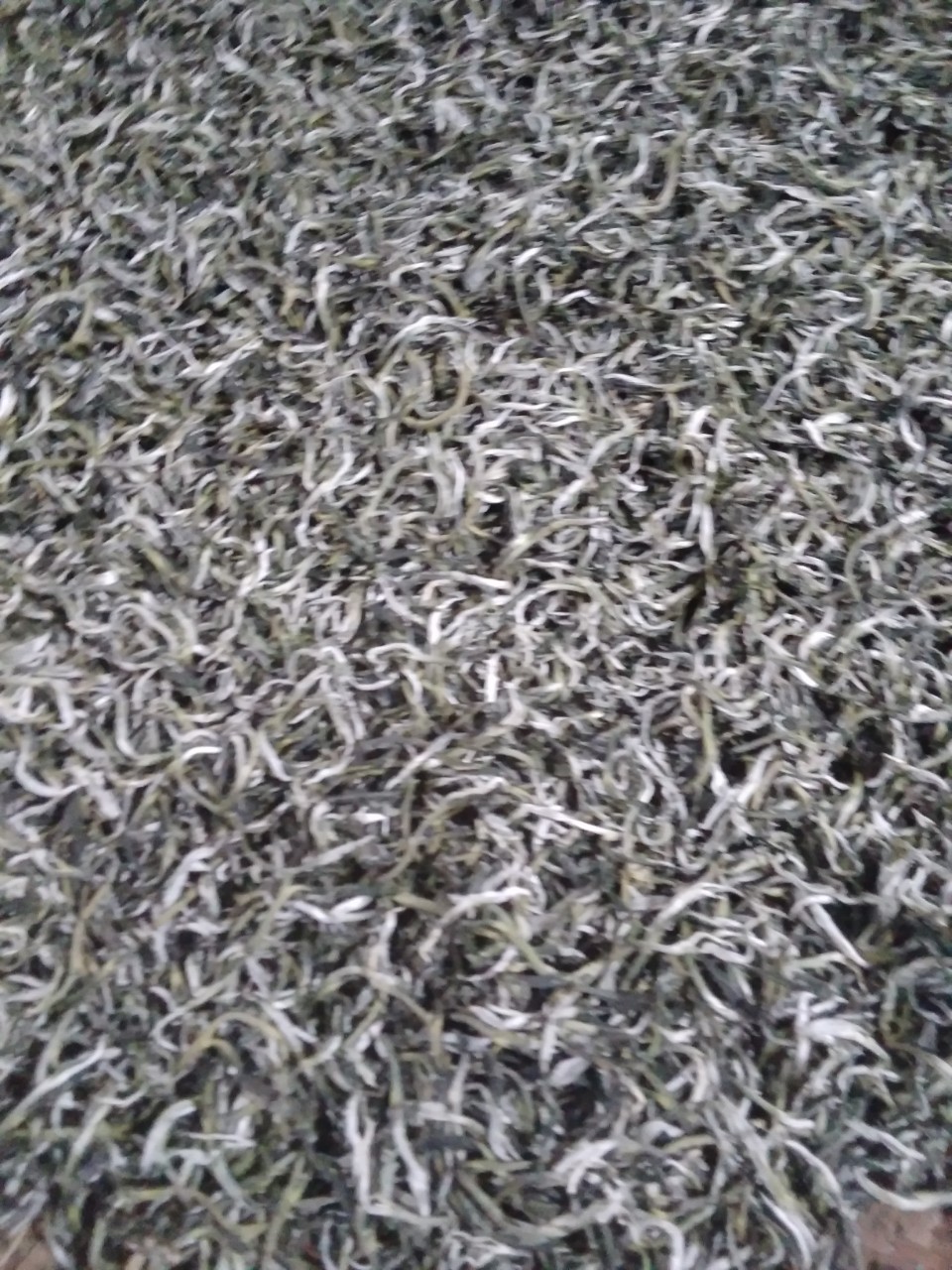 Product Info Image 3