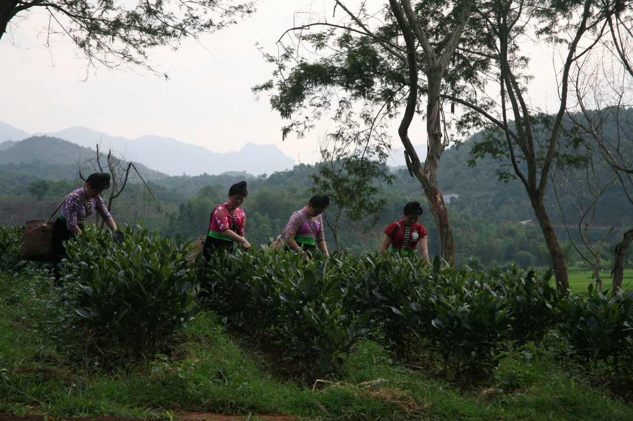 Product Info Image 7