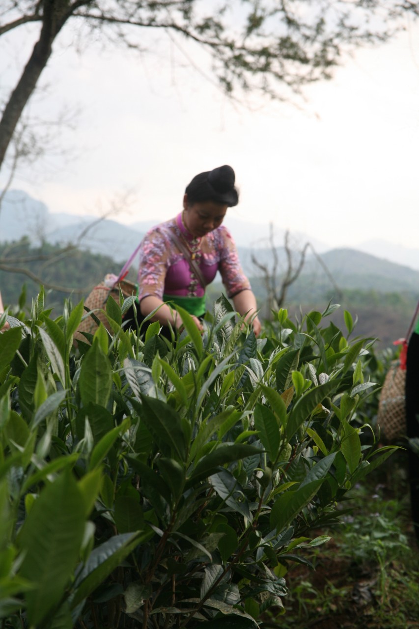 Product Info Image 10