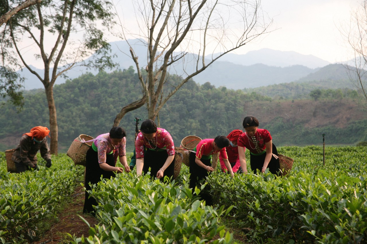 Product Info Image 11