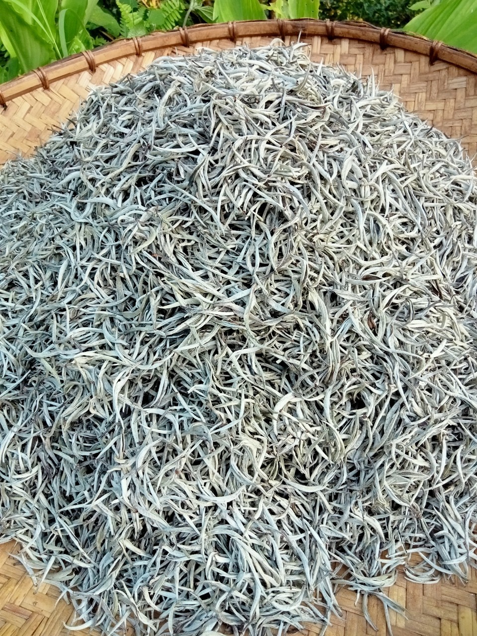 Product Info Image 6