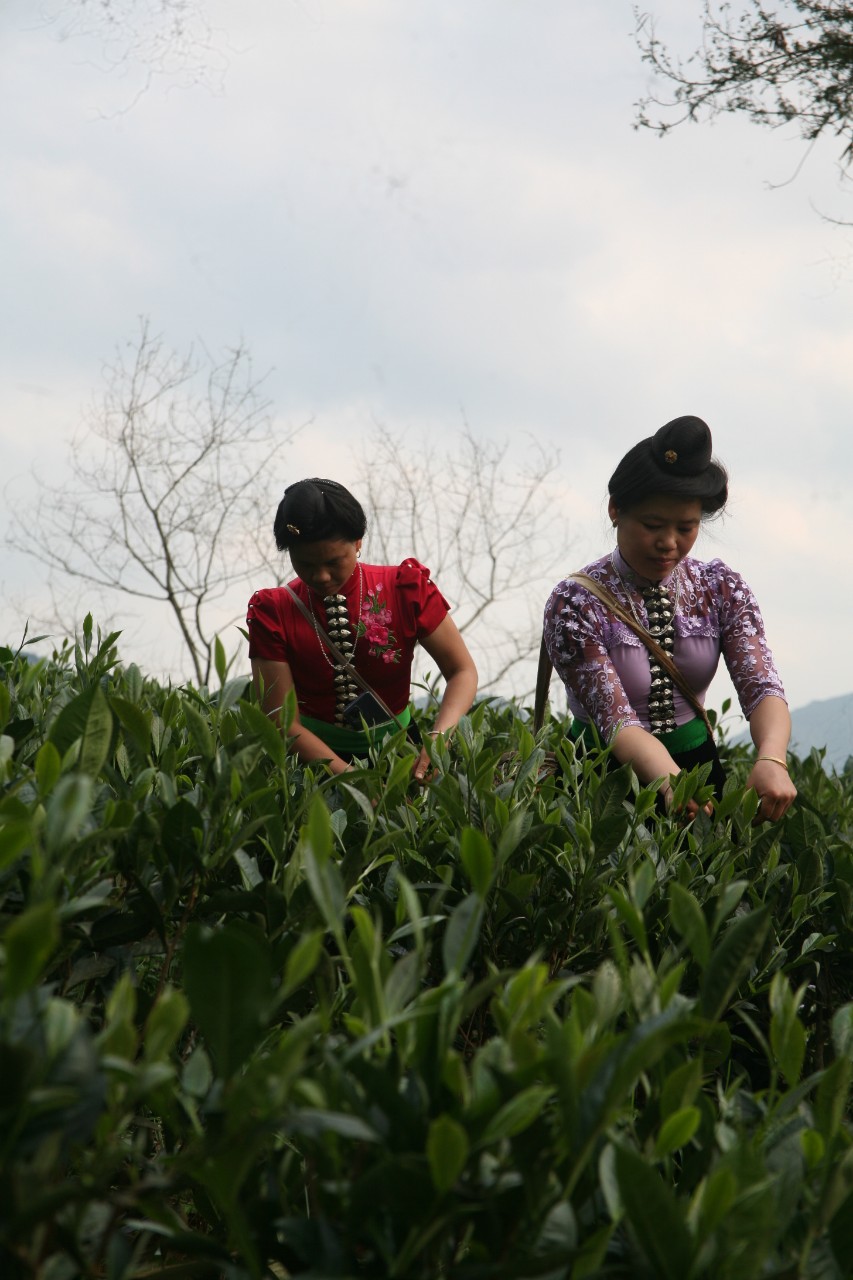 Product Info Image 4