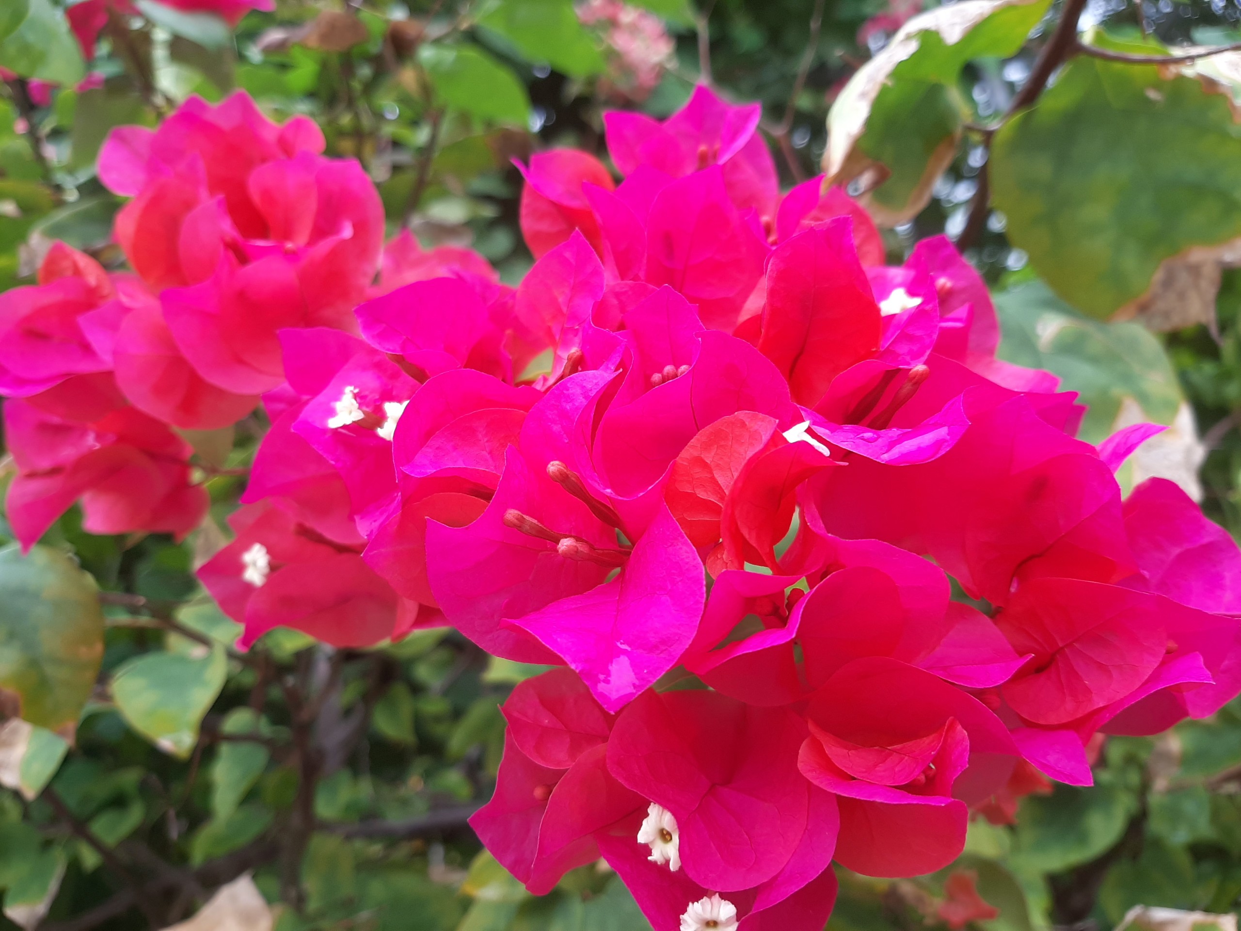 Product Info Image 1