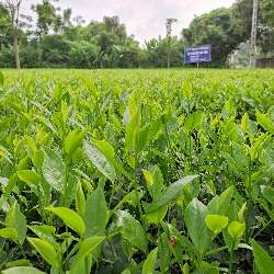 Product Info Image 3